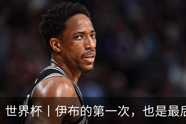世界杯丨伊布的第一次，也是最后一次