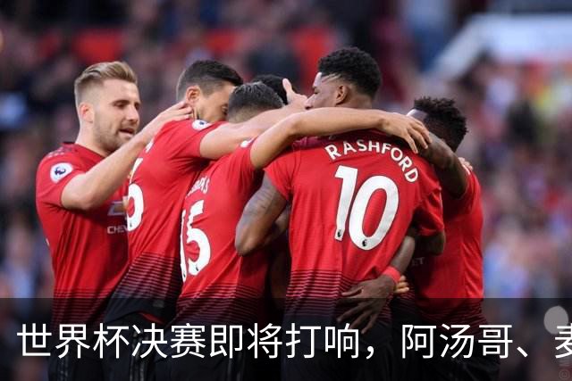 世界杯决赛即将打响，阿汤哥、麦当娜、夏奇拉、比伯等巨星已确定出席表演，执行制片人：演出汇集全球顶尖艺人，希望能代表整个世界