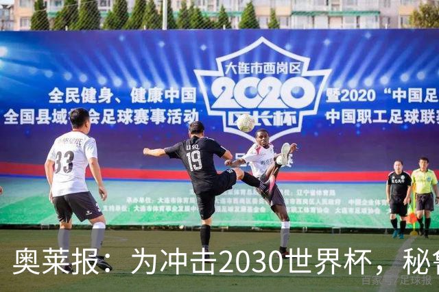 奥莱报：为冲击2030世界杯，秘鲁把世预赛主场分散到高原地区