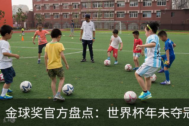 金球奖官方盘点：世界杯年未夺冠却赢得金球的球员，梅罗在列
